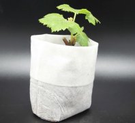 无纺布种植袋钉子多少钱一个？它的优缺点是什