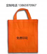 无纺布购物袋批发定制拿样