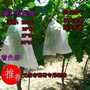 无纺布葡萄套袋_透气吗?