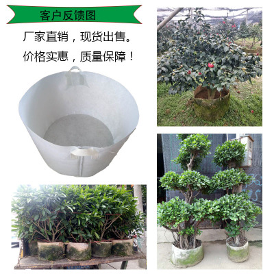 无纺布育苗袋