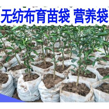 <b>无纺布种植袋使用寿命有多长</b>