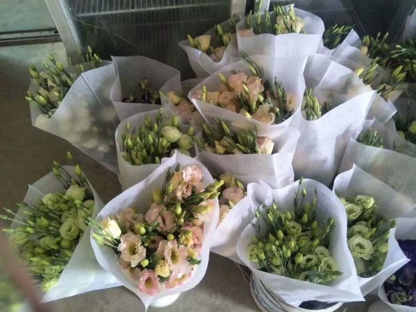无纺布鲜花套袋批发定做厂家