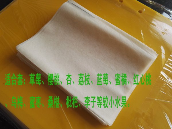 无纺布冬枣套袋_樱桃套袋草莓套袋杏套袋纸袋防虫防农药污染