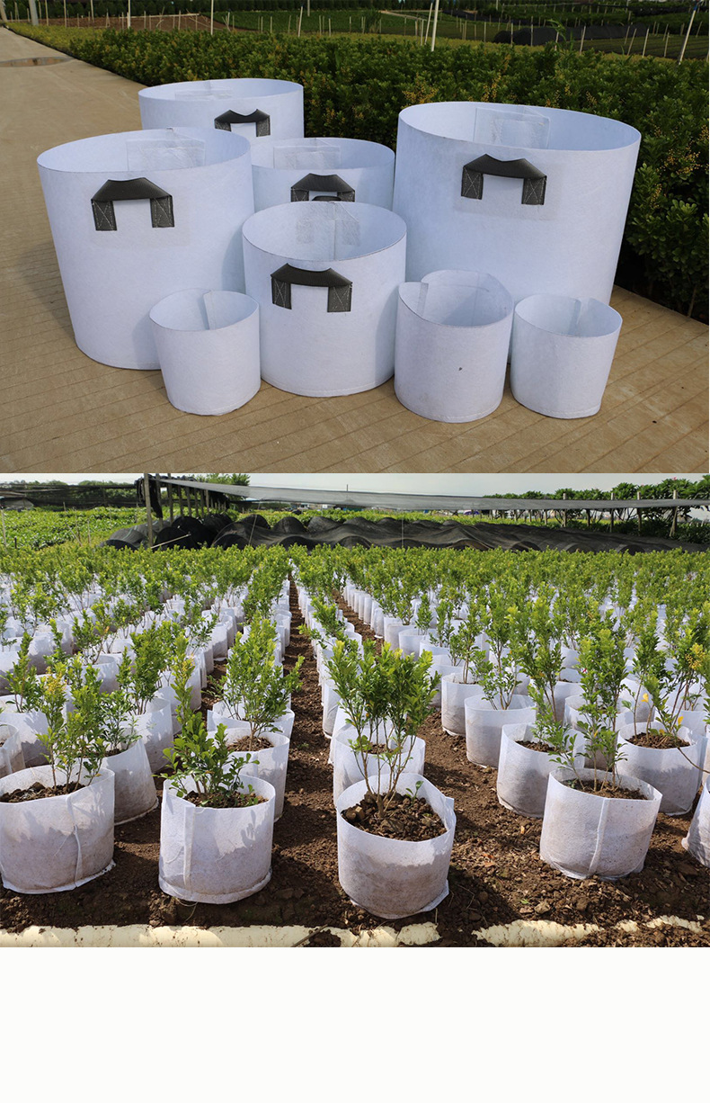 蔬菜用无纺布育苗袋 美植袋