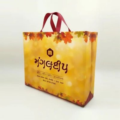 Elegant Nonwoven Laminated Box Bag 优雅的无纺布层压箱袋
